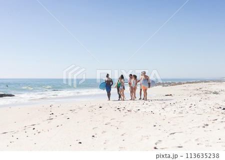 Diverse friends are having a delightful time at the beach with copy space Diverse friends are having a delightful time at the beach with copy space 113635238
