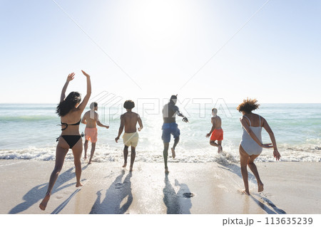 Diverse group of friends enjoy a day at the beach 113635239
