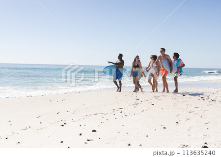 Diverse group of friends enjoy a beach day, with copy space 113635240