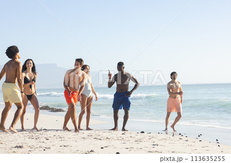 Diverse group of friends enjoy a day at the beach 113635255