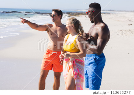 Young Caucasian woman with diverse friends at the beach 113635277