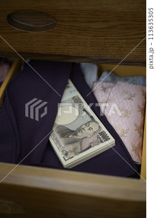 タンス預金 113635305