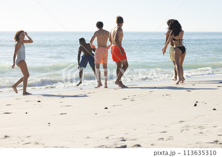 Diverse group of friends enjoy a sunny day at the beach Diverse group of friends enjoy a sunny day at the beach 113635310