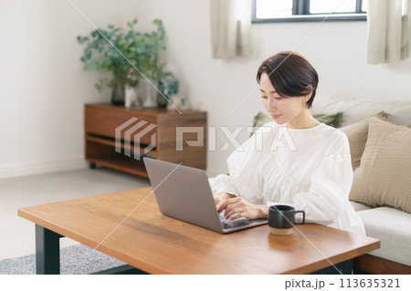 リビングでパソコンを使う30代女性 113635321
