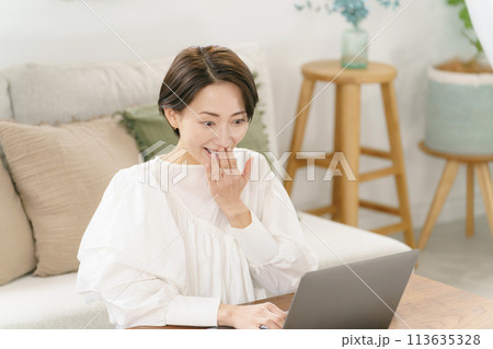 リビングでパソコンを使う30代女性 リビングでパソコンを使う30代女性 113635328