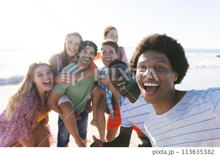 Diverse group of friends taking a selfie on the beach 113635382