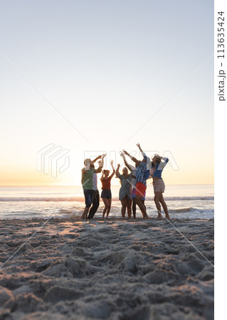 Friends celebrate on the beach at sunset, with copy space Friends celebrate on the beach at sunset, with copy space 113635424