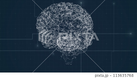 Image of human brain with network of connection over grid 113635768