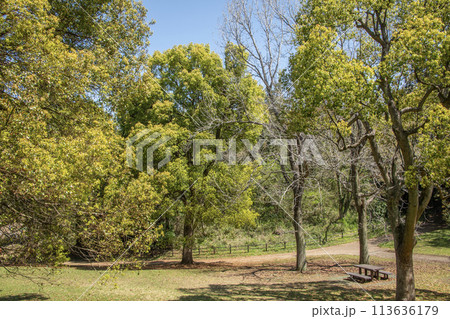 こども自然公園 神奈川県横浜市旭区 こども自然公園 神奈川県横浜市旭区 113636179