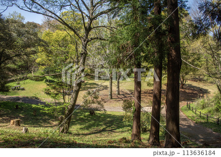 こども自然公園　神奈川県横浜市旭区 113636184
