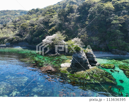 愛媛県伊方町 住吉神社の風景 愛媛県伊方町 住吉神社の風景 113636395
