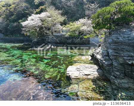 愛媛県伊方町　住吉神社の風景 113636413