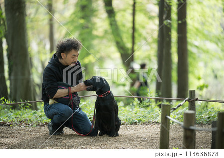 犬を散歩する男性　ドッグトレーナーや飼い主などの仲良しなイメージ 113636878