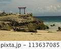 白浜神社・大明神岩の赤鳥居 113637085