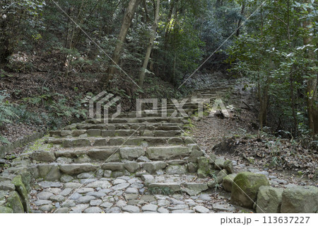 松山城の黒門口登城道 松山城の黒門口登城道 113637227