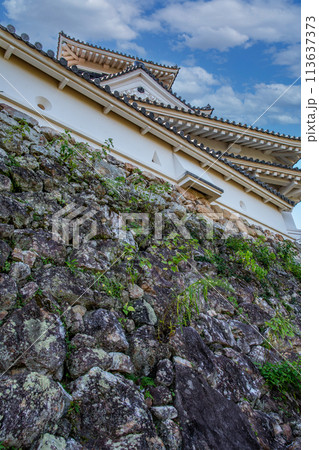 高知城 高知城 113637373