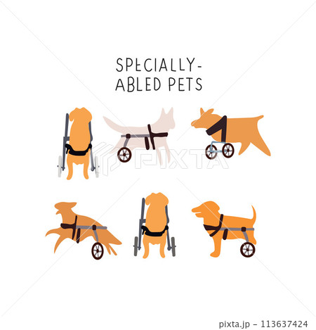 disabled Dogs set 113637424