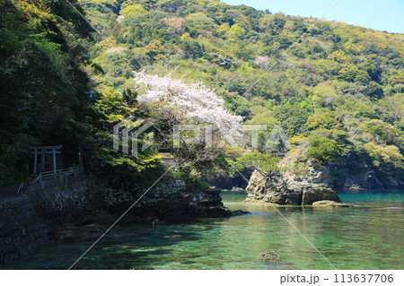 愛媛県伊方町　住吉神社の風景 113637706