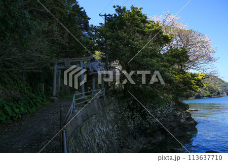 愛媛県伊方町 住吉神社の風景 愛媛県伊方町 住吉神社の風景 113637710