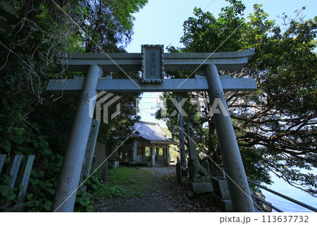 愛媛県伊方町 住吉神社 愛媛県伊方町 住吉神社 113637732