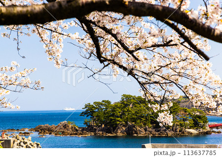 【新潟県・佐渡】早春の佐渡航路・両津湾 4月 【新潟県・佐渡】早春の佐渡航路・両津湾 4月 113637785