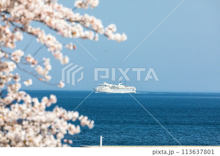 【新潟県・佐渡】早春の佐渡航路・両津湾 4月 【新潟県・佐渡】早春の佐渡航路・両津湾 4月 113637801
