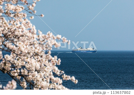 【新潟県・佐渡】早春の佐渡航路・両津湾 4月 【新潟県・佐渡】早春の佐渡航路・両津湾 4月 113637802