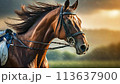 自然の中を走る競走馬の横顔 113637900