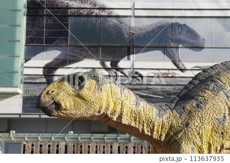福井駅前の恐竜モニュメント フクイサウルス 福井駅前の恐竜モニュメント フクイサウルス 113637935