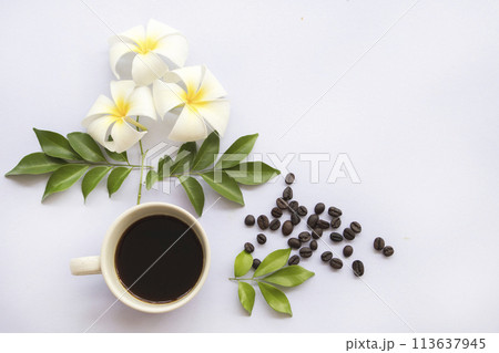 hot coffee espresso with coffee beans arrangement flat lay postcard style 113637945