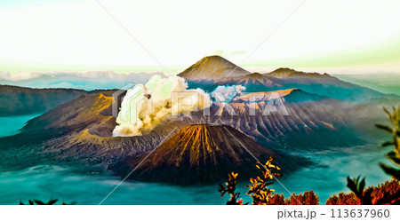 beautiful view of Mount Bromo-Semeru 113637960