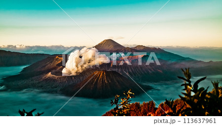 beautiful view of Mount Bromo-Semeru 113637961