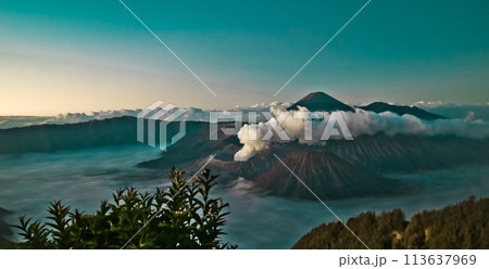 beautiful view of Mount Bromo-Semeru 113637969
