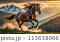 夕焼けに染まる自然の中を駆ける馬 113638066
