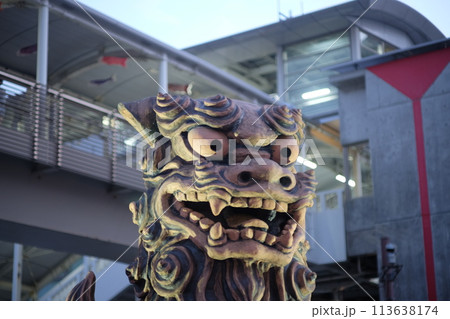 夕方のシーサー 夕方のシーサー 113638174