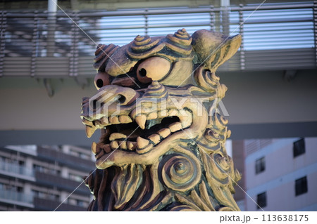 夕方のシーサー 113638175