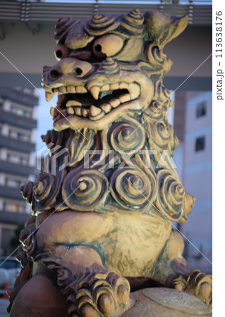 夕方のシーサー 夕方のシーサー 113638176