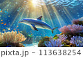 珊瑚礁の周りを泳ぐイルカ 113638254
