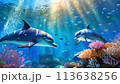 綺麗な海の中を泳ぐイルカと海の生き物 113638256
