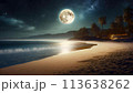 夜空に輝く満月と湖に反射した満月の風景画 113638262
