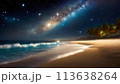 綺麗な星が見える幻想的な海岸 113638264
