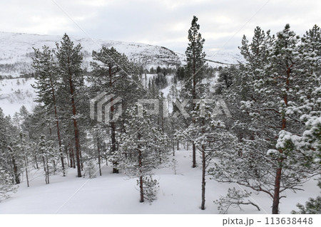 Arctic Norway in Winter 113638448