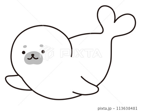 アザラシの赤ちゃんのイラスト アザラシの赤ちゃんのイラスト 113638481
