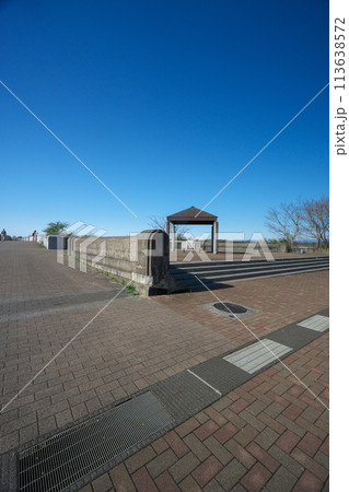 桜咲くころの狭山公園 桜咲くころの狭山公園 113638572