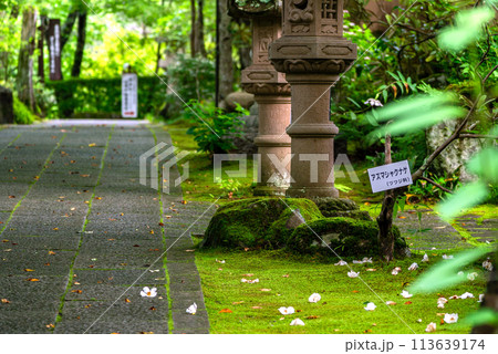 棚倉町 山本不動尊 夏 棚倉町 山本不動尊 夏 113639174