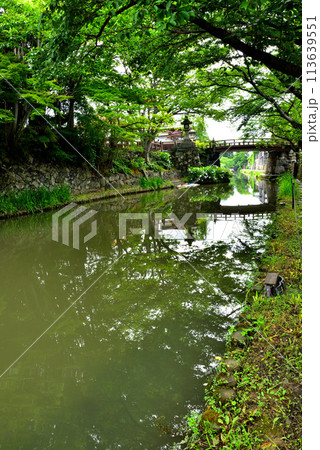 滋賀県近江八幡市 八幡堀の風景 113639551