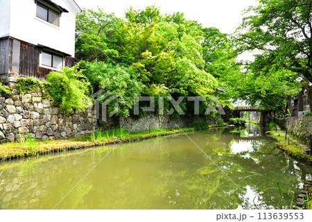 滋賀県近江八幡市 八幡堀の風景 113639553