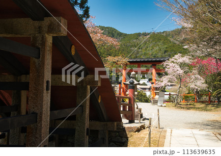 丹生都比売神社(鳥居)　【和歌山県伊都郡かつらぎ町】 113639635