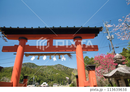 丹生都比売神社(鳥居)　【和歌山県伊都郡かつらぎ町】 113639638