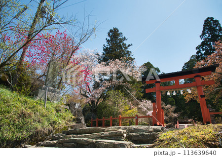 丹生都比売神社(鳥居) 【和歌山県伊都郡かつらぎ町】 丹生都比売神社(鳥居) 【和歌山県伊都郡かつらぎ町】 113639640